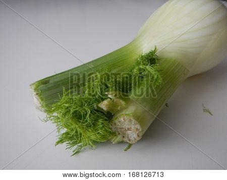 Piece Of Fresh Green Fennel