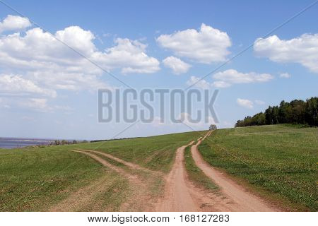 Summer Landscape