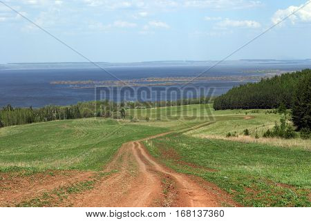 Summer Landscape