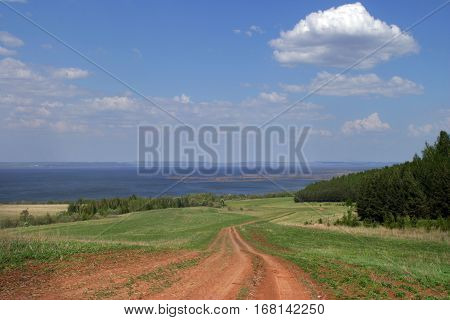Summer Landscape