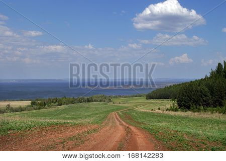 Summer Landscape