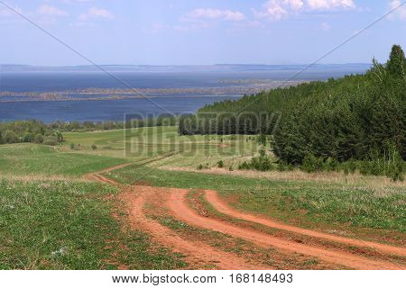 Summer Landscape