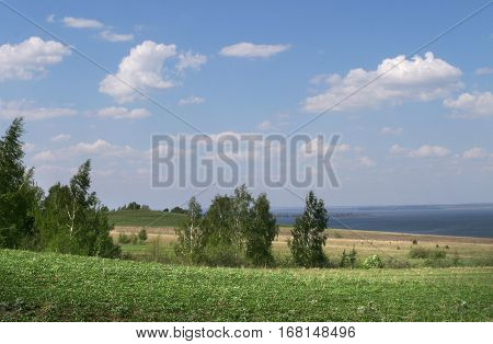 Summer Landscape
