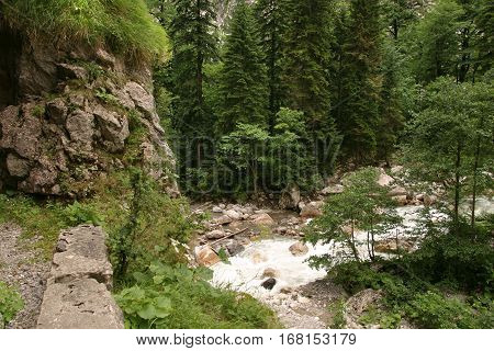 The Mountain River