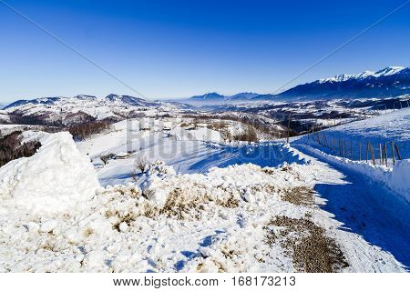 Beautiful Winter Landscape With Bucegi