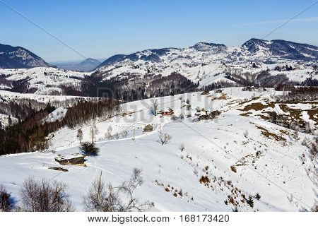 Beautiful Winter Landscape With Bucegi