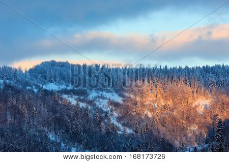 Evening Winter Ukrainian Carpathian Mountains Landscape.