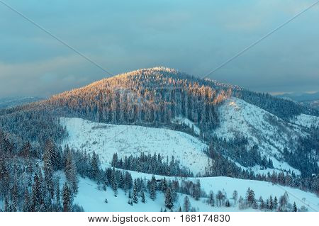 Evening Winter Ukrainian Carpathian Mountains Landscape.