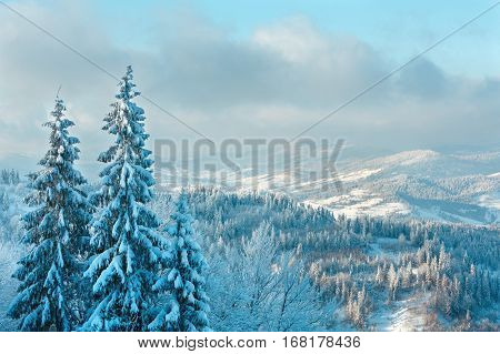 Winter Ukrainian Carpathian Mountains Landscape.