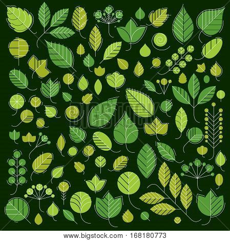 Vector illustration of green tree leaves isolated on white background. Set of simple drawn nature design elements graphic symbols