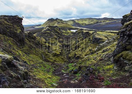 Volcanic landscape in Lakagigar with saturated green moss black volcanic sand and craters on Iceland