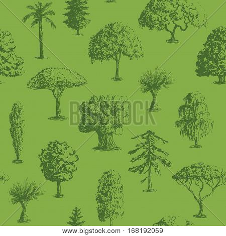 Seamless vector hand drawn tree pattern. Oak, olive, apple-tree, pine, spruce, maple, dragon blood, brahea, cypress, acacia, palm.