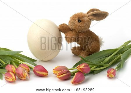 Easter egg and tulips with Rabbit on white background