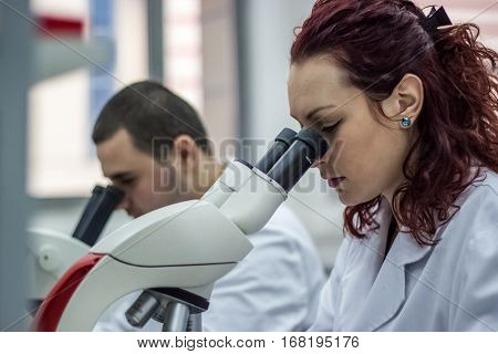 Female And Male Medical Or Scientific Researchers Or Women And Men Doctors Looking Through A Microsc