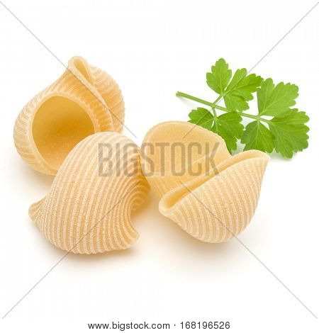 Italian lumaconi isolated on white background. Lumache, snailshell shaped pasta