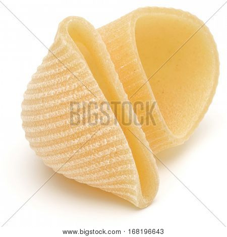 Italian lumaconi isolated on white background. Lumache, snailshell shaped pasta.