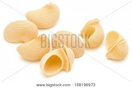 Italian lumaconi isolated on white background. Lumache, snailshell shaped pasta