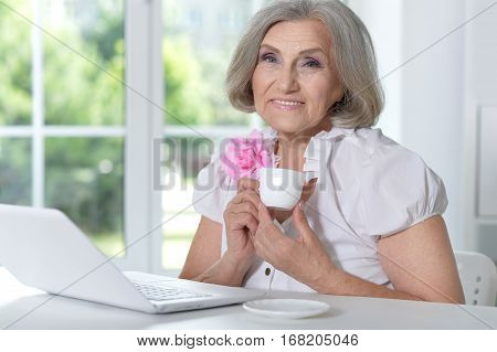 mature woman portrait using laptop and drinking coffee