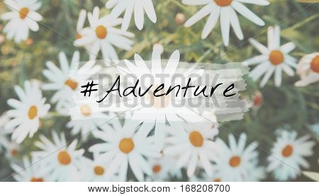 Adventure Destination Discover Expedition Icon