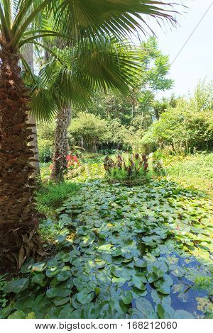 Tropical Garden Jardins Exotiques in Sale, Morocco, Africa