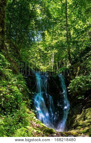 Waterfall At Mount Olympus