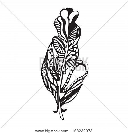 Ethnic Feather On A White Background. Vintage Artistically Hand