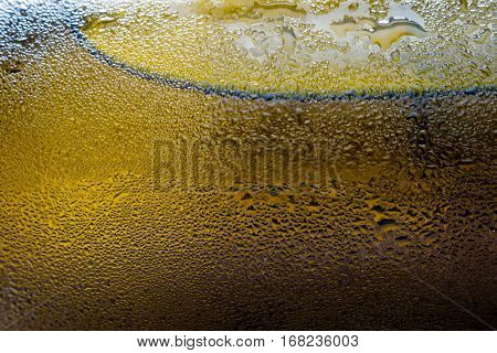 background of Chilled champagne bottle close up
