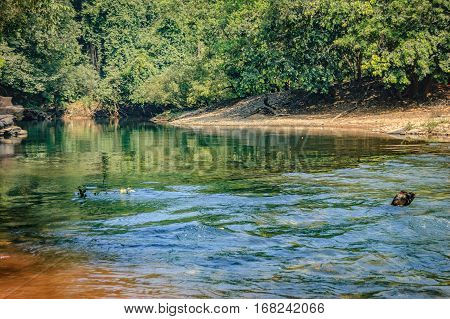 The muddy waters of the Mandovi River in Goa, India. Road to the Dudhsagar Waterfall.