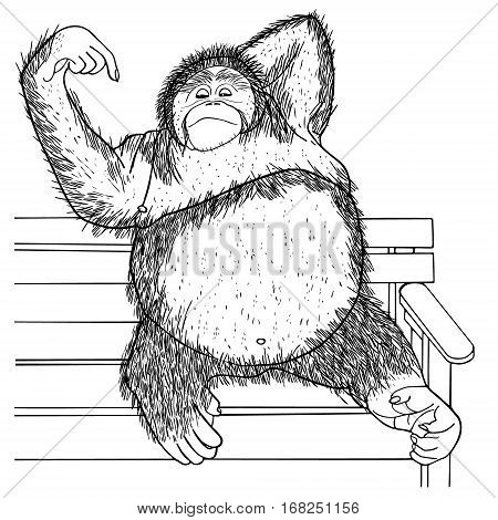 Orangutan Hand drawn sketched vector illustration. Doodle graphic with ornate pattern.