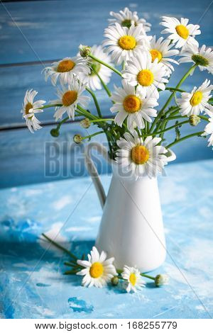 Summer Floral card with chamomile flower over blue vintage painted wooden background.