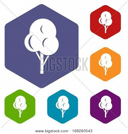 Autumn tree icons set rhombus in different colors isolated on white background