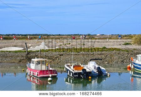 Loix France - september 26 2016 : the picturesque village in autumn