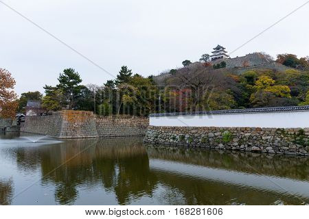 Marugame Castle in Japan at autumn