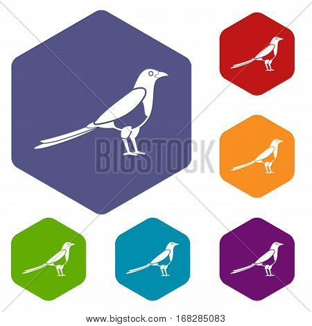 Bird magpie icons set rhombus in different colors isolated on white background