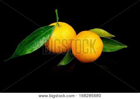 Two fresh tangerines with leaves on black background