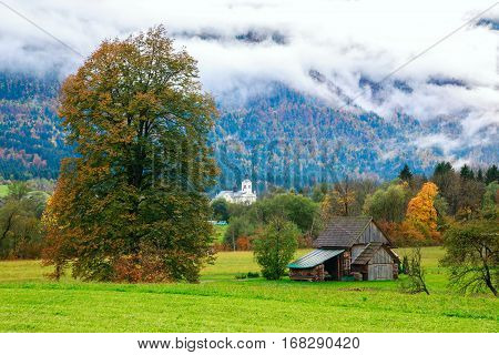 Idyllic Landscape In The Alps