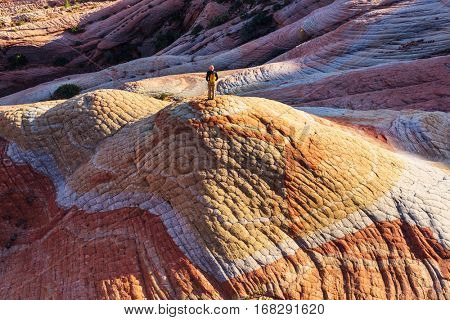 Sandstone formations in Utah, USA. Yant flats