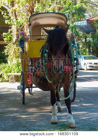 equipage is a vehicle for traveling Thailand.