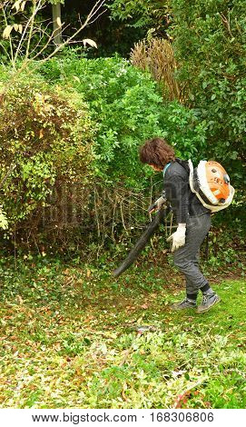 verneuil sur Seine France - november 3 2016 : a pruner in agarden