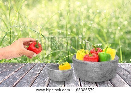 pepper in wood bowl on naturre background