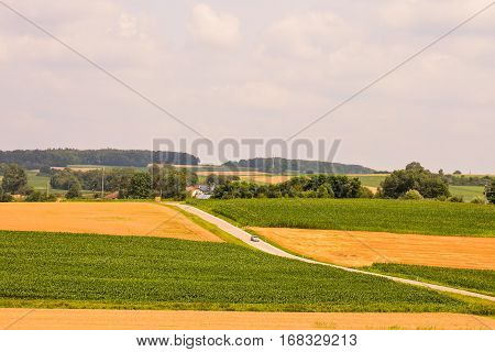 View Of Cultivated Field In The Countryside