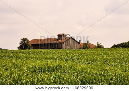 View Of Cultivated Field In The Countryside