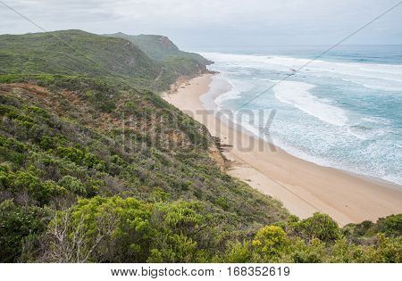 Great Ocean Raod nature trails the Castle Cove in Victoria state of Australia.