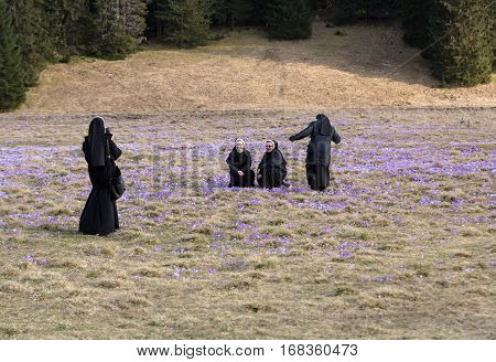 CHOCHOLOWSKA VALLEY, POLAND - MARCH 31, 2016: Nuns on mountain meadow with crocus flowers blooming