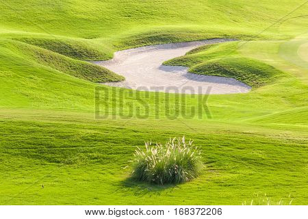 Irregular shape of sand bunker is fun and challenging hazard in beautiful green golf course.