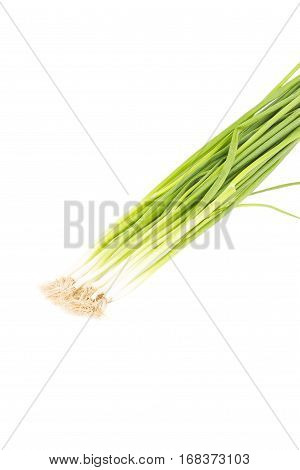 Green Onions Pen On The White Background
