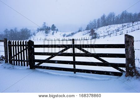 Snow is falling on a wooden fence at winter, mountain Kozomor, Serbia