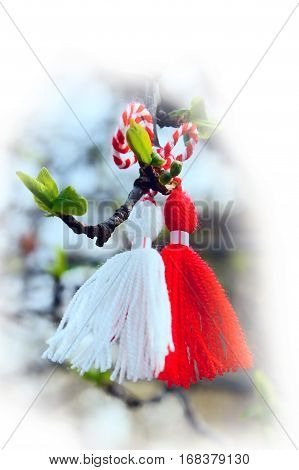 Red and white color Bulgarian Martenitsa spring sign on the tree branch