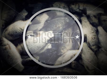 items for fishing, has a template for your logo, vintage effect