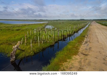 Dirty Road To Lagoa Do Peixe Lake